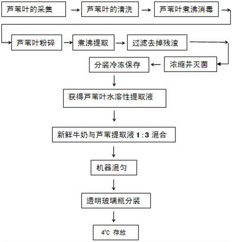 Preparation method of reed-milk beverage