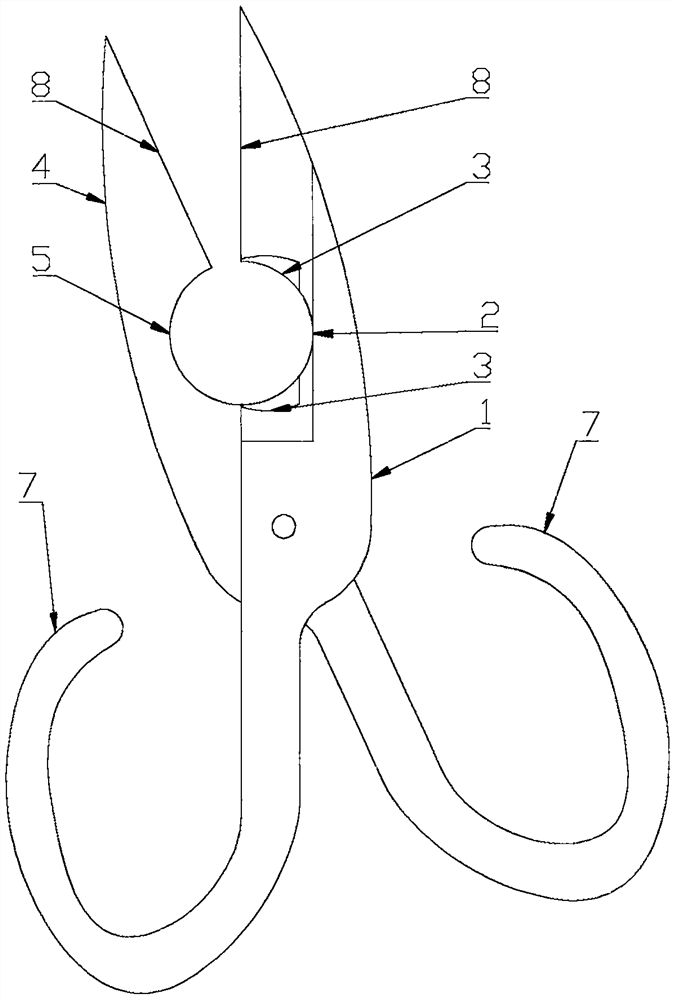 Hawthorn processing technology and hawthorn processing tool
