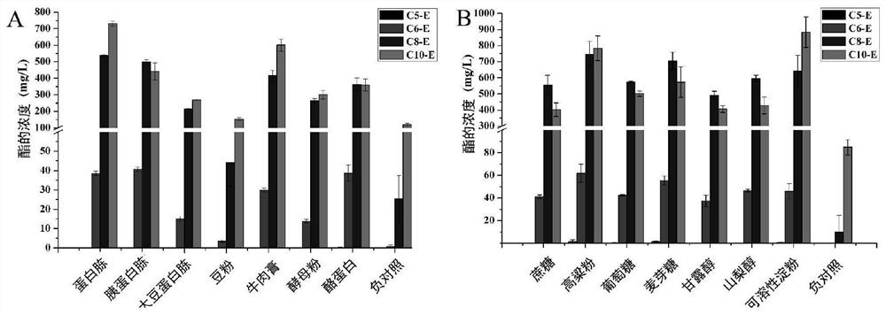 A culture method of Burkholderia polyphage and its application in catalytic synthesis of liquor flavor esters and degradation of liquor harmful esters