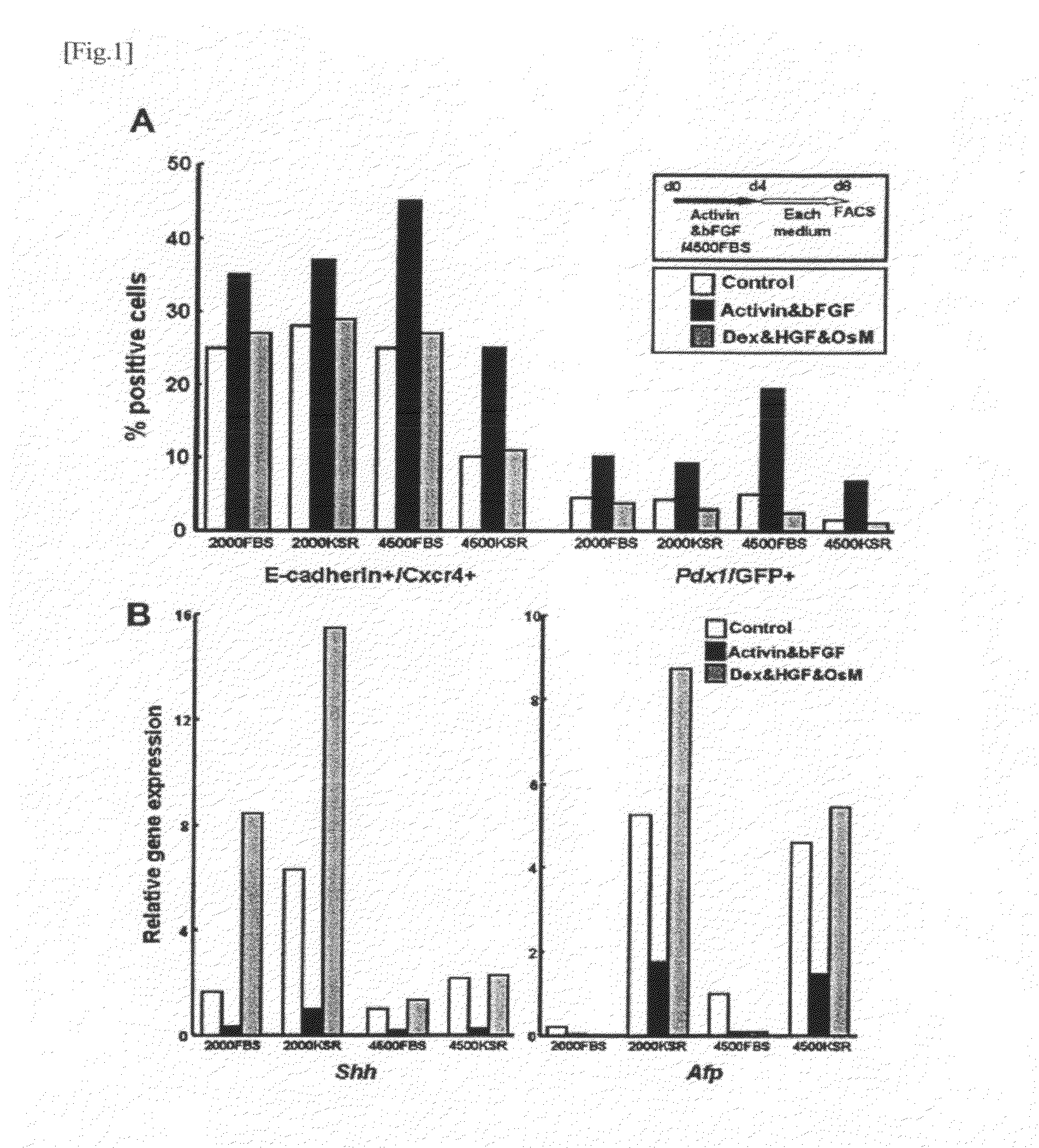 Method for induction of differentiation of es cell