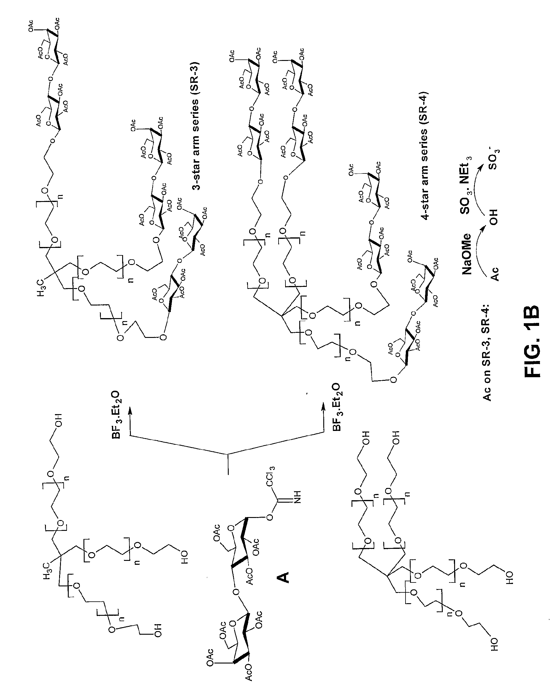 Polyethylene Oxide Polymers Including Anti-Inflammatory Glycodendrons