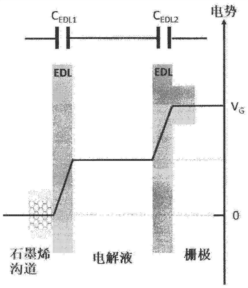 Graphene transistor label-free DNA sensor and preparation method thereof