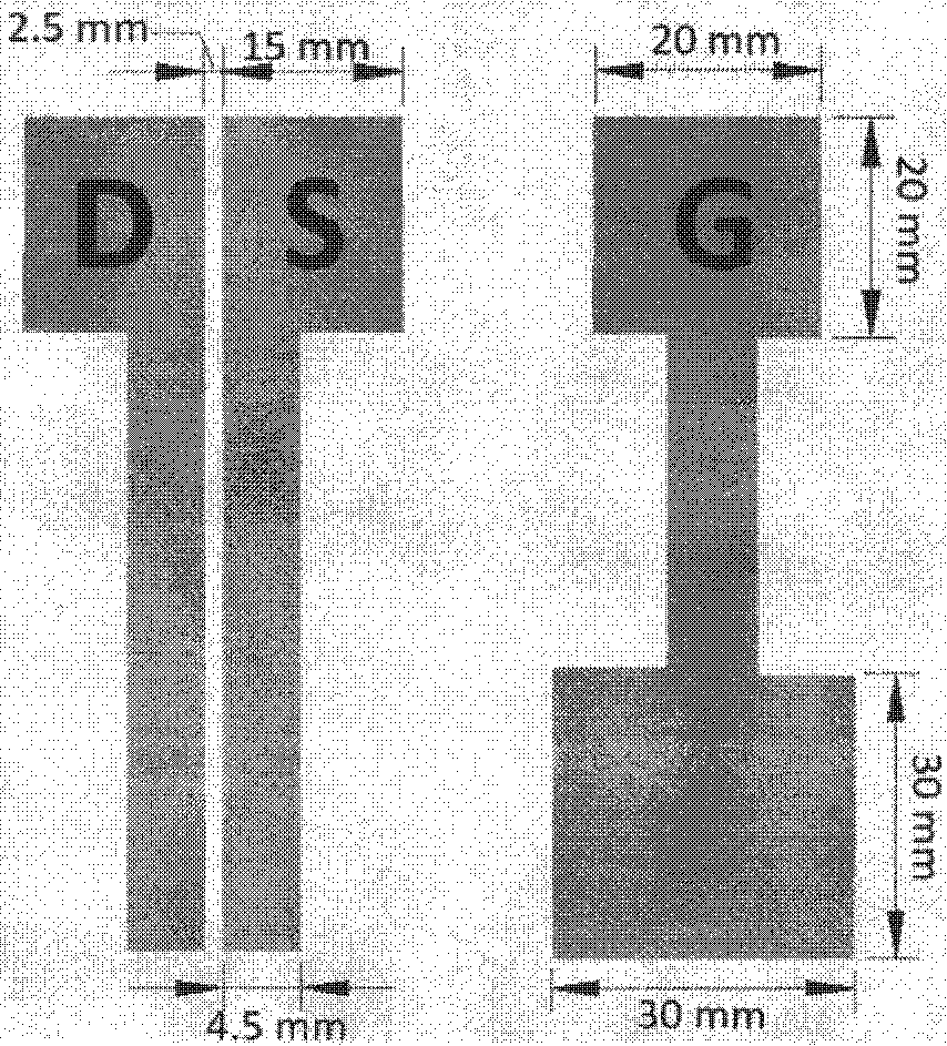 Graphene transistor label-free DNA sensor and preparation method thereof