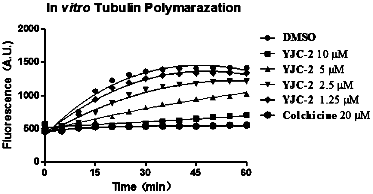 Tubulin inhibitor and preparation method and application thereof