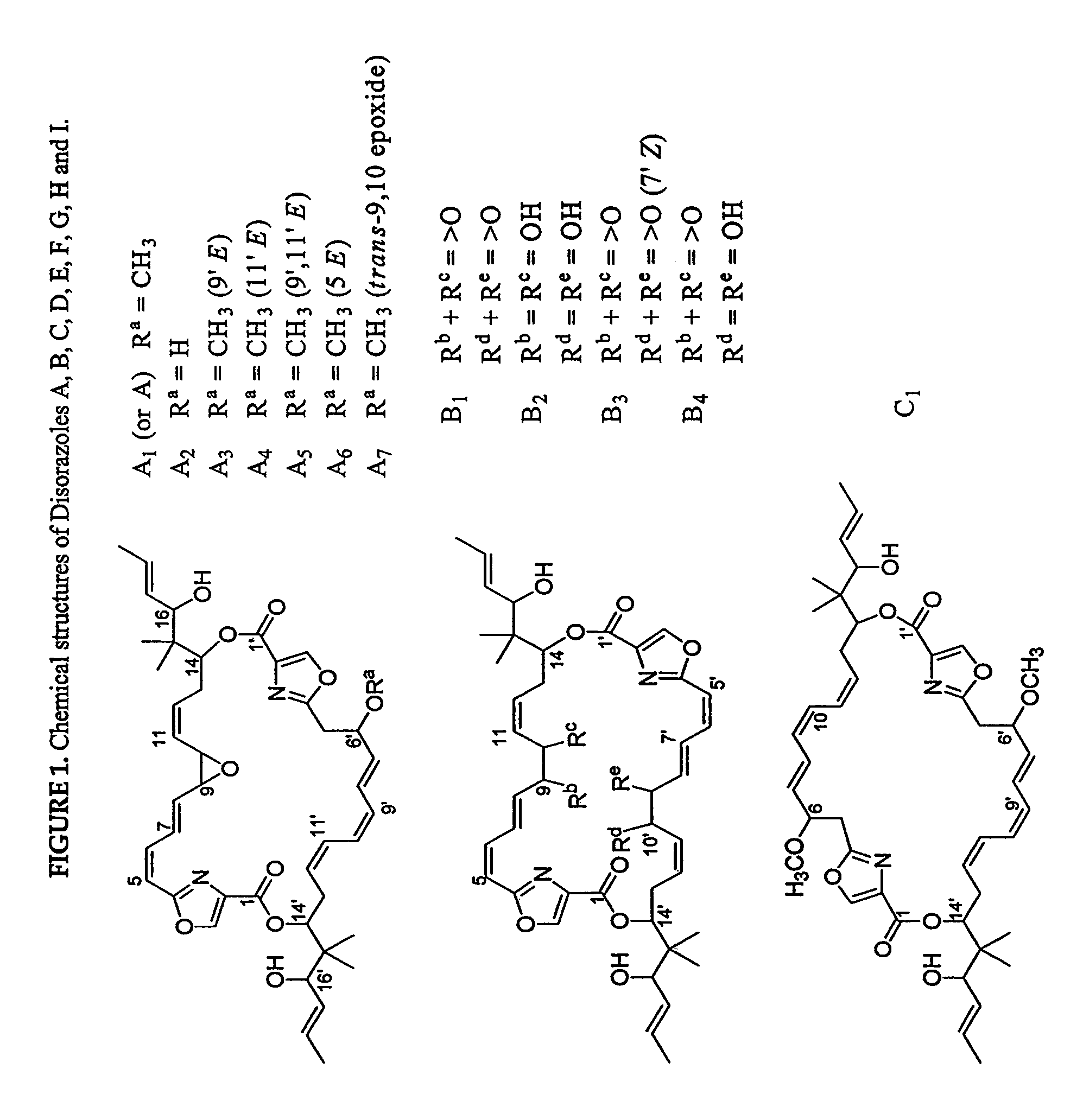 Polynucleotides encoding disorazole polyketide synthase polypeptides