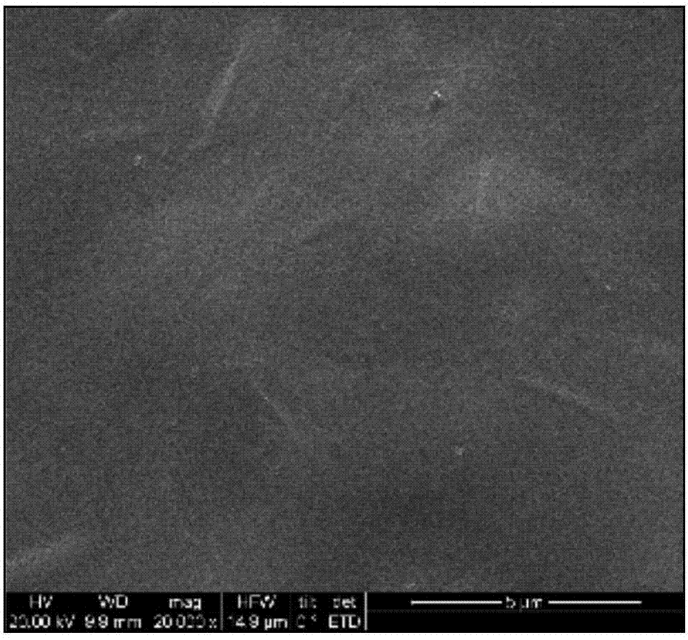 Magnetic carboxylation nano-crystalline cellulose amino-functionalization surface molecularly imprinted polymer