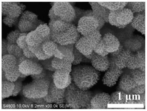 A kind of gold nanoparticle/titanium dioxide nanoflower composite material and its preparation method and application