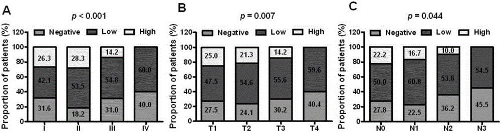 Application method of EB virus encoded EBER-1