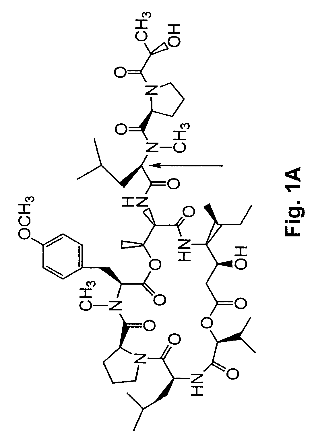 Didemnin analogs and fragments and methods of making and using them