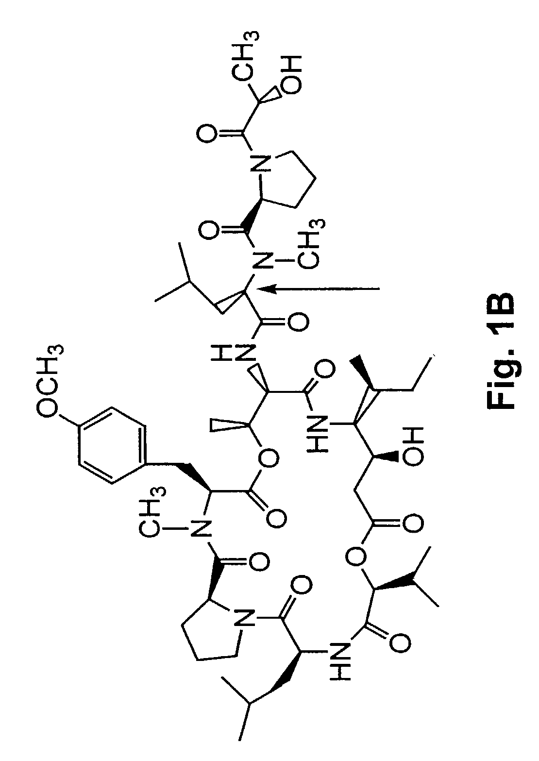 Didemnin analogs and fragments and methods of making and using them