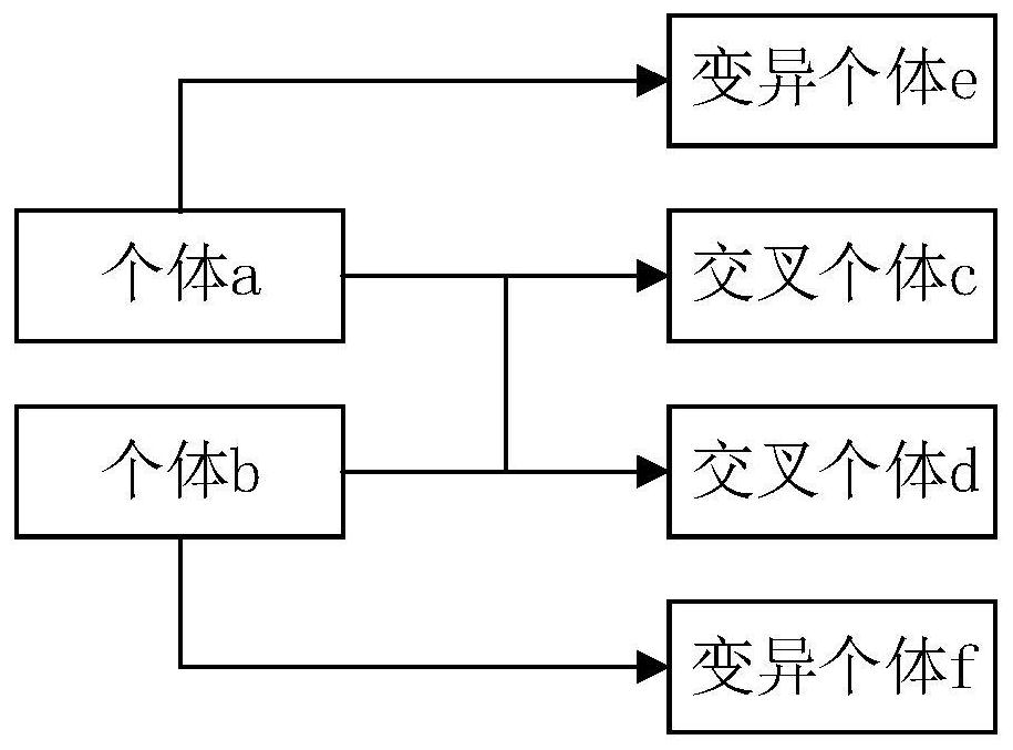 A configuration method for nuclear power plant cold chain system based on improved genetic algorithm