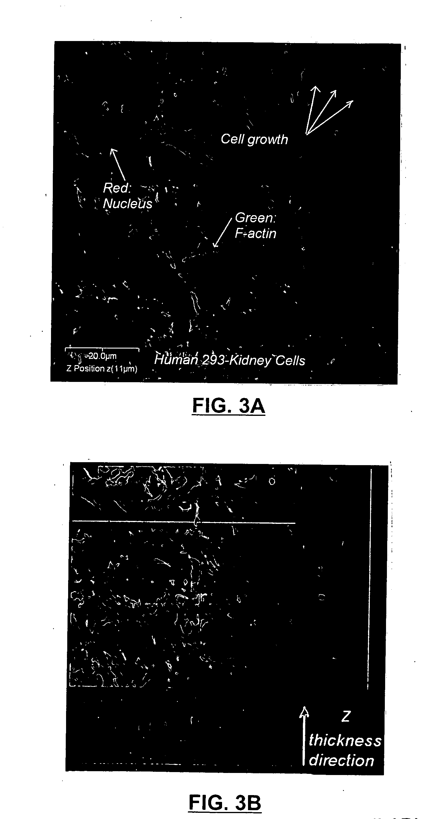 Method and systems for forming and using nanoengineered sculptured thin films