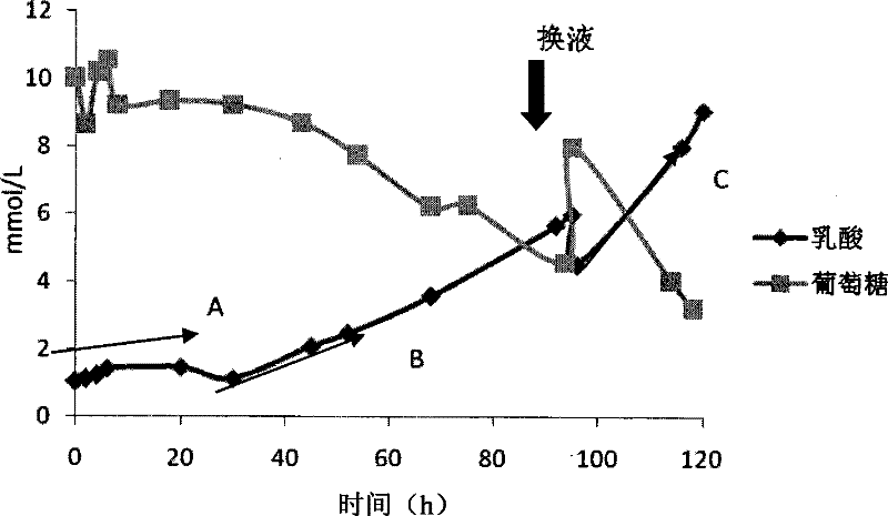 Endothelial cell bioreactor as well as preparation method and application thereof