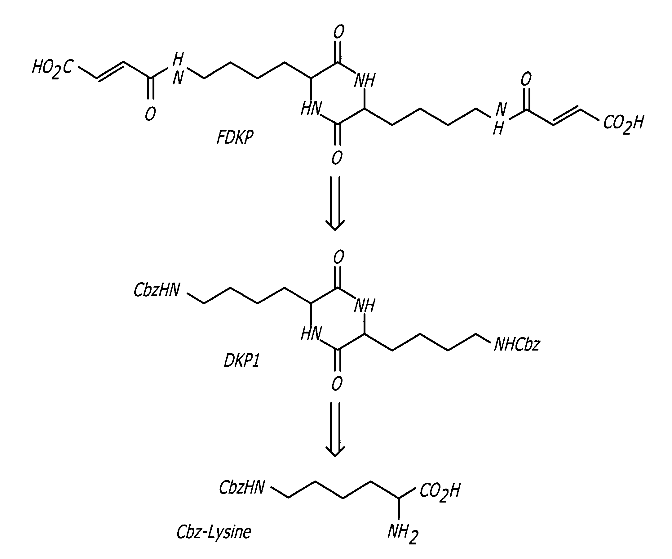 Catalysis of diketopiperazine synthesis