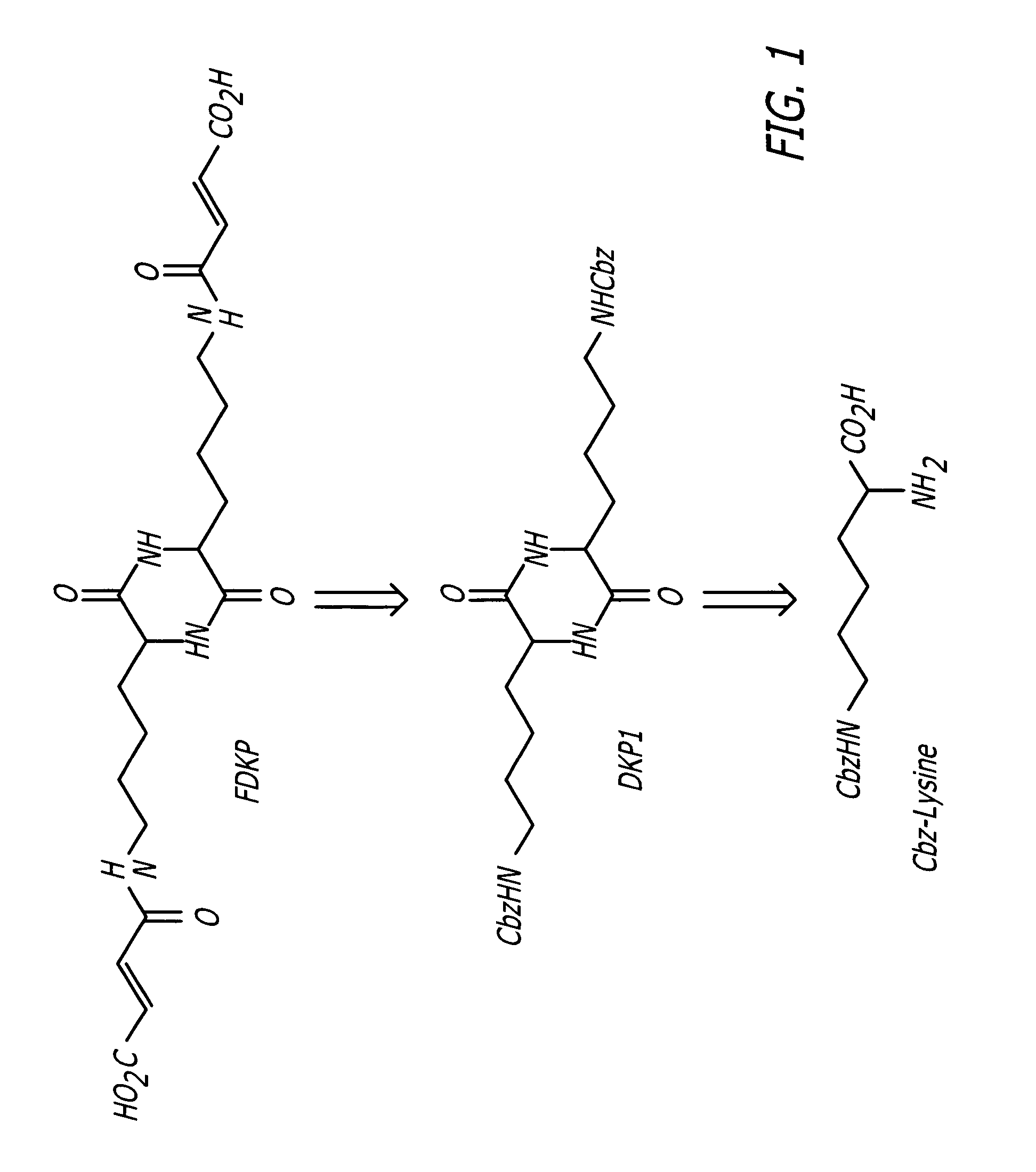 Catalysis of diketopiperazine synthesis