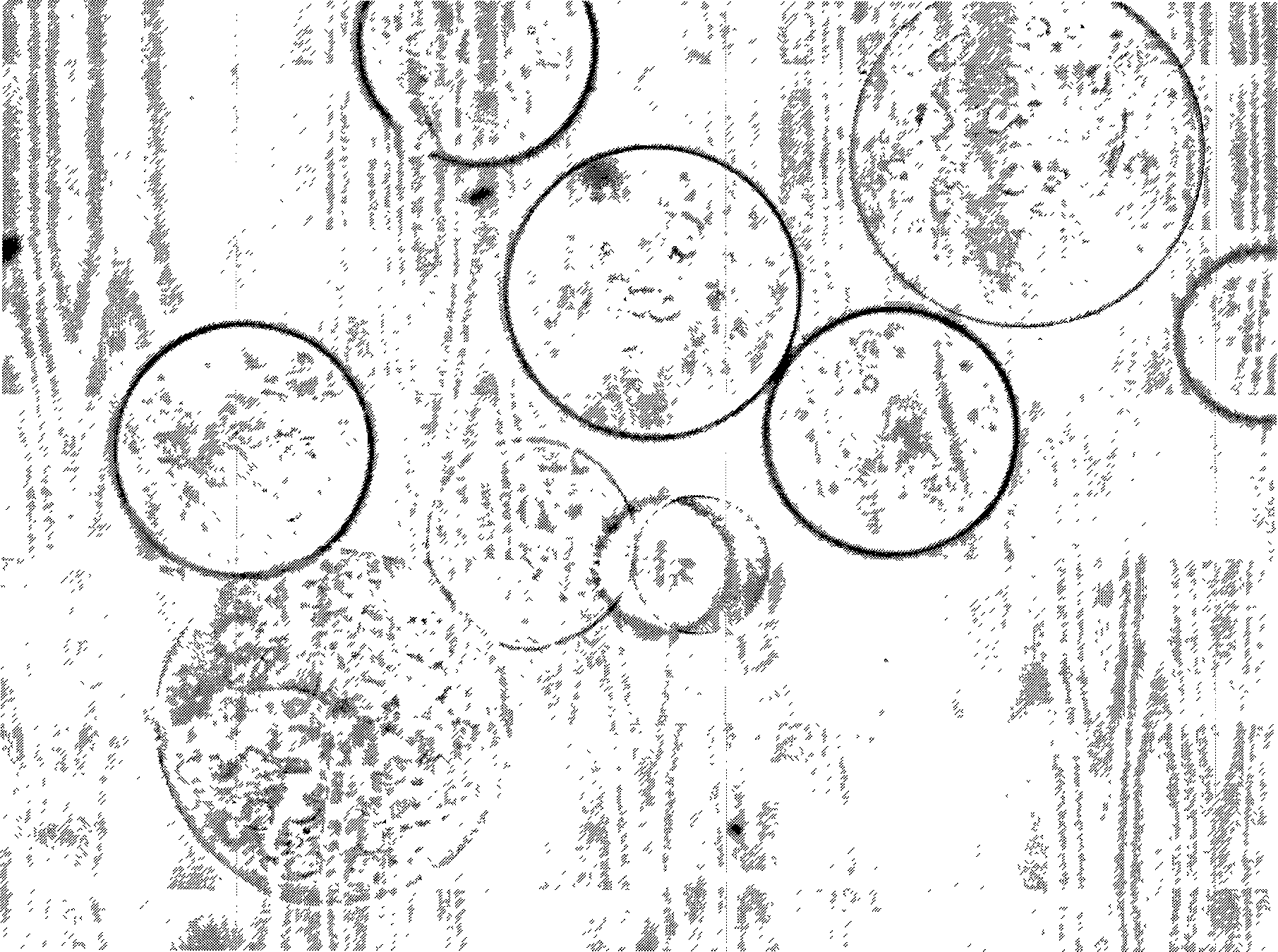 Azithromycin microball preparation and preparation method thereof