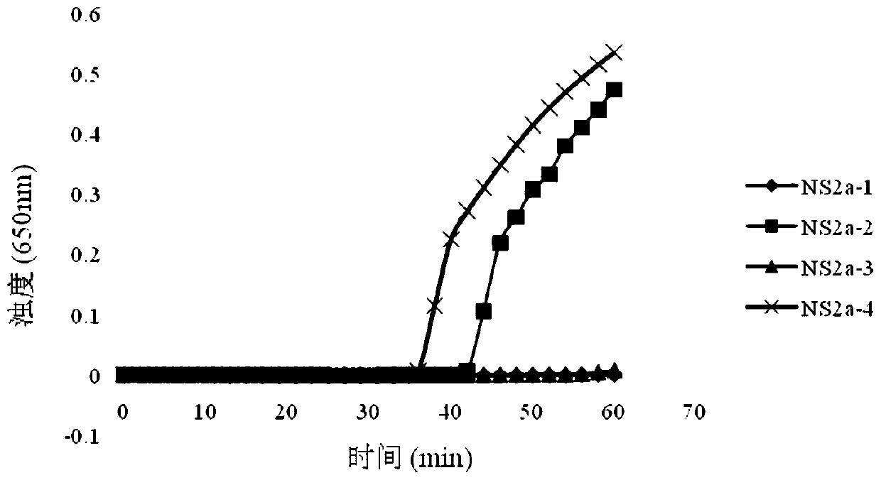 RT-LAMP reagent kit for detecting yellow fever viruses, and special primer of RT-LAMP reagent kit