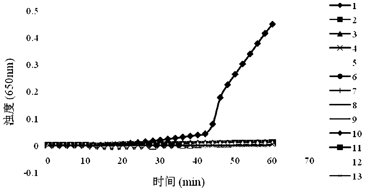 RT-LAMP reagent kit for detecting yellow fever viruses, and special primer of RT-LAMP reagent kit