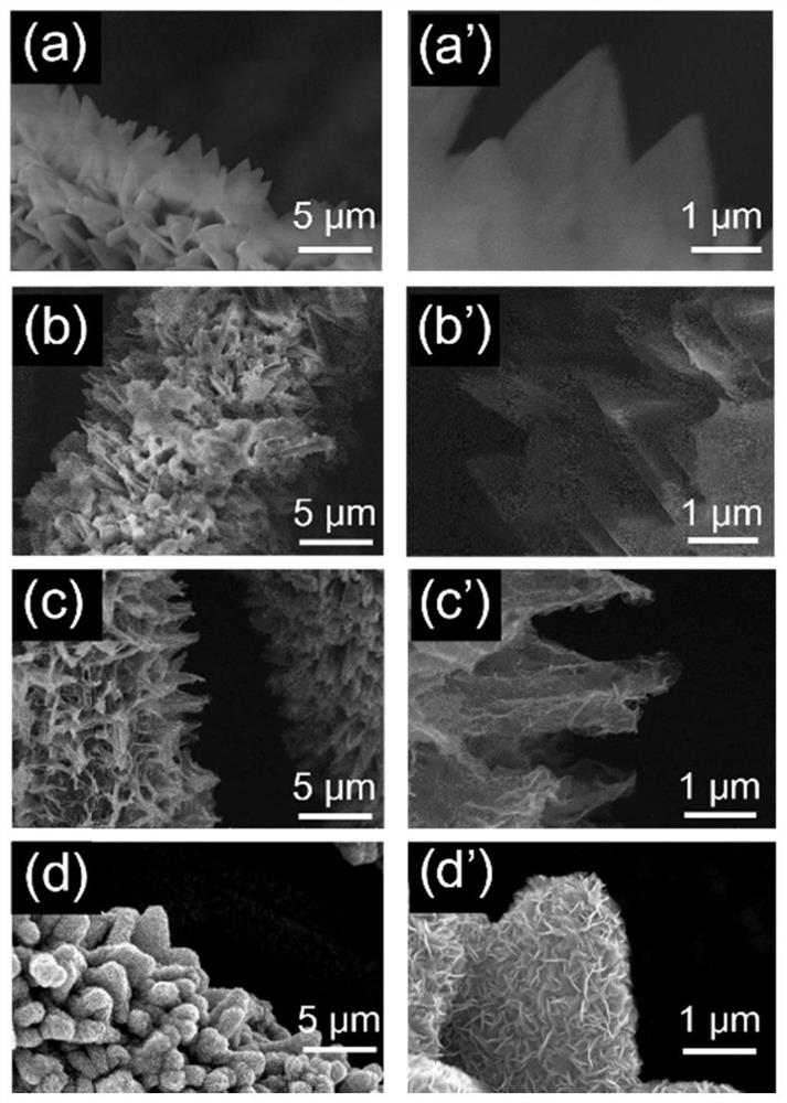 Triangular nano array assembled by iron-doped cobalt sulfide and molybdenum sulfide nanosheets as well as preparation method and application of triangular nano array