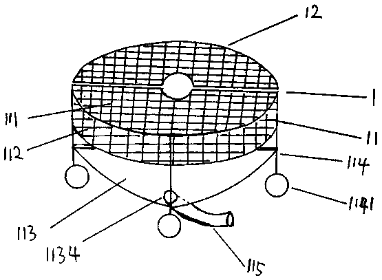 Fruit collecting device