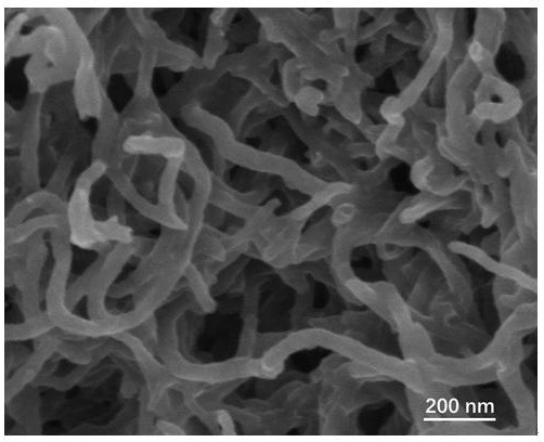 A nitrogen-doped molybdenum disulfide/carbon nanotube composite material