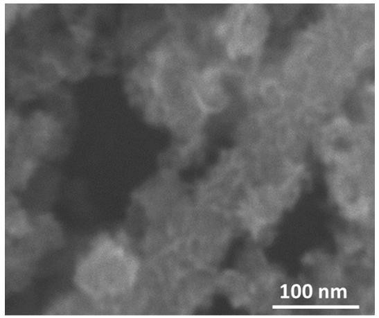 A nitrogen-doped molybdenum disulfide/carbon nanotube composite material