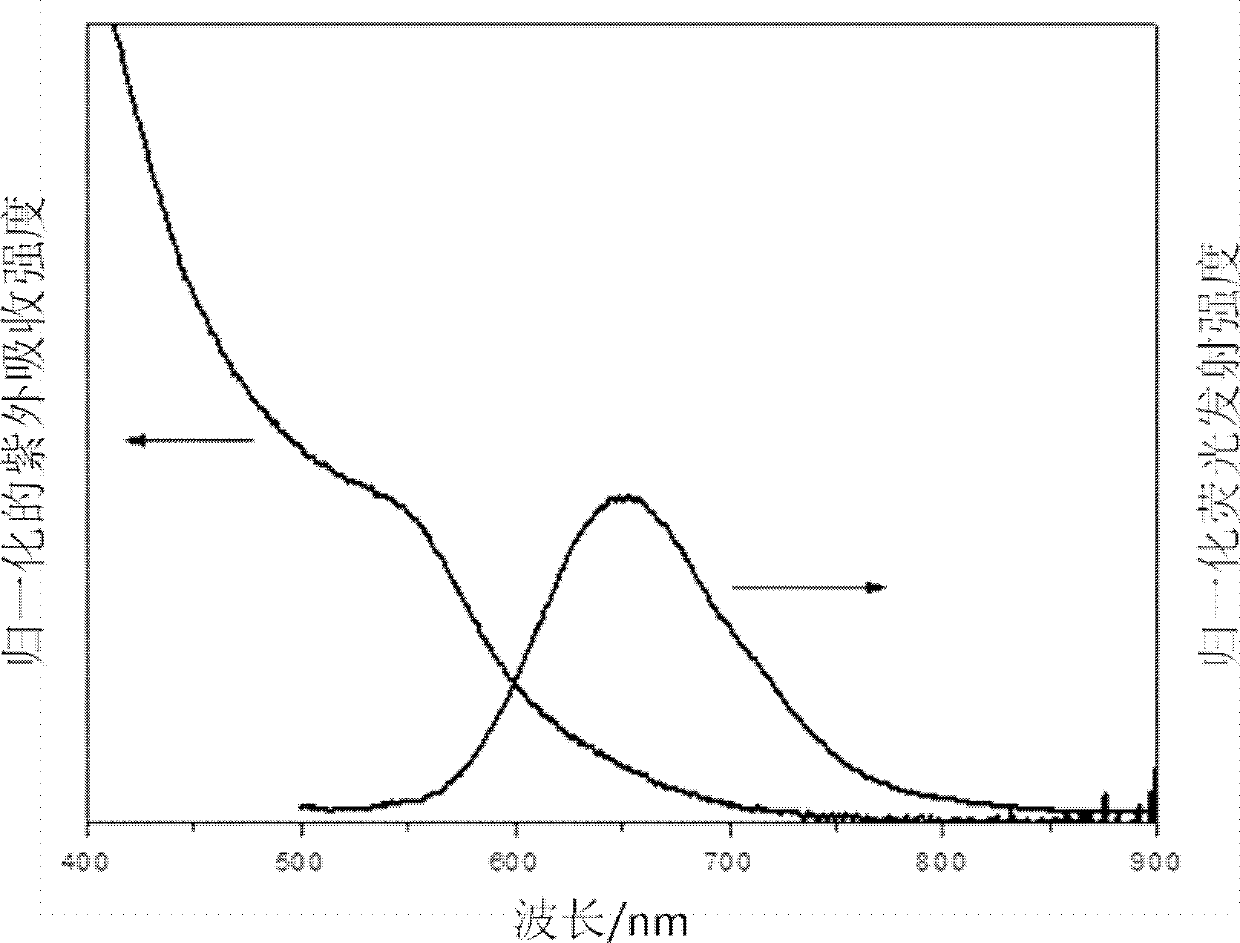 CuInS2 quantum dots with water-soluble zinc blende structure, CuInS2/ZnS core shell quantum dots with water-soluble zinc blende structure and preparation method thereof