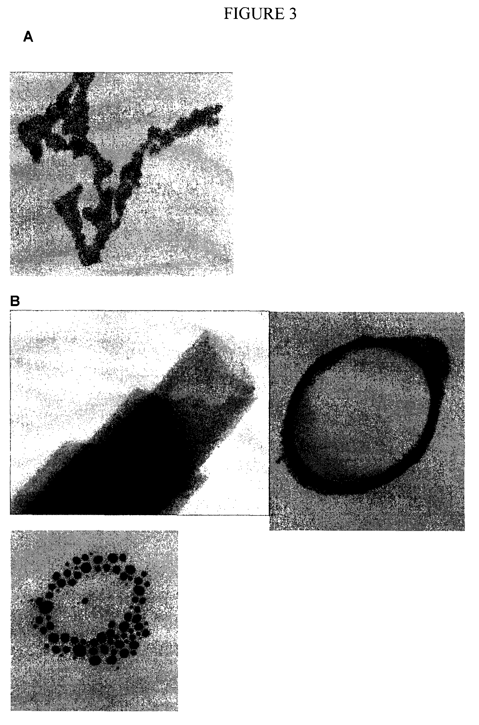 Chelating silicon-based polymers