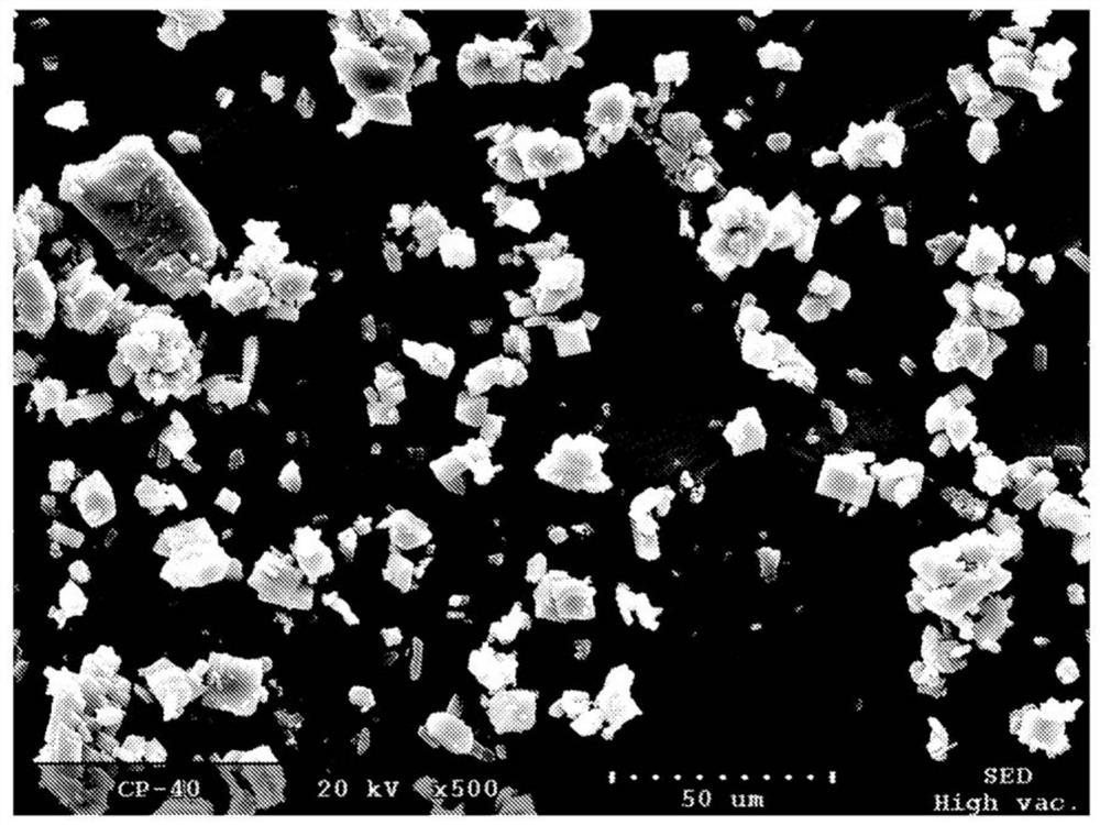 Solid forms of diamanamide compounds, compositions thereof and methods of use thereof