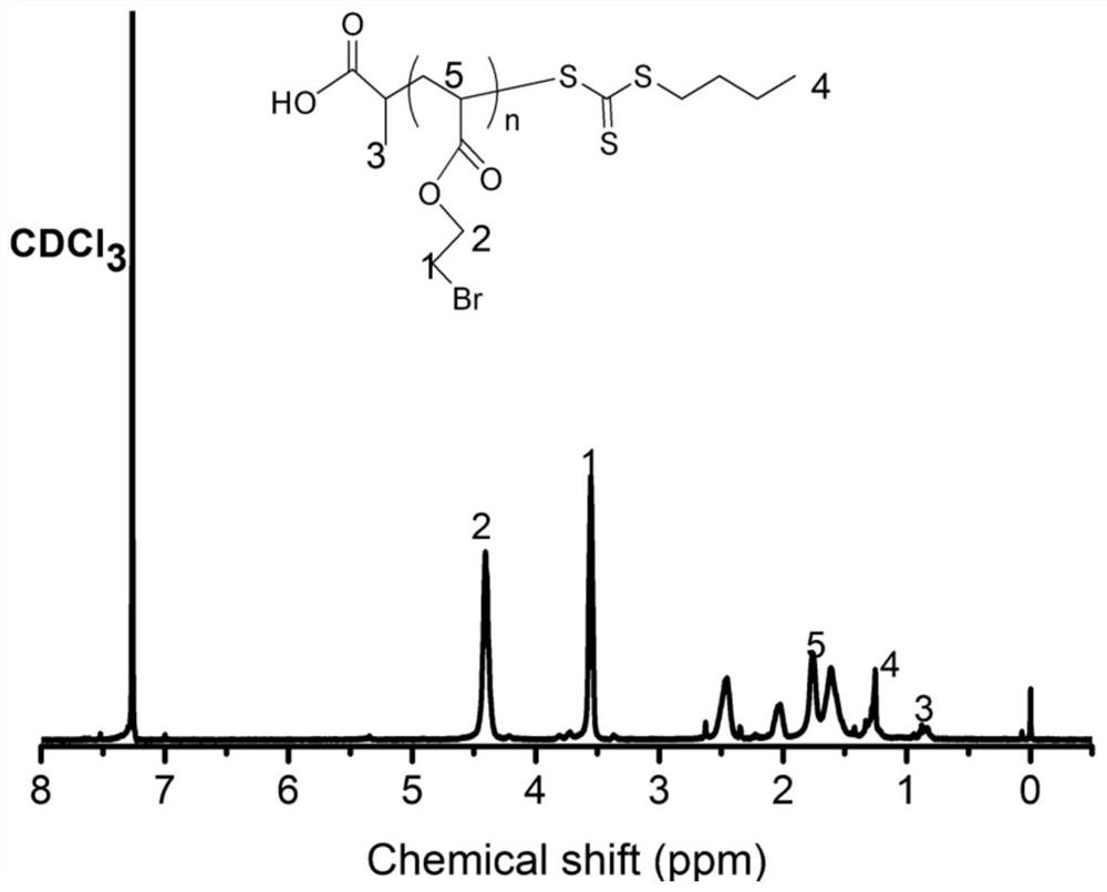 Piperidine type anion exchange membrane with excellent comprehensive performance and preparation method of piperidine type anion exchange membrane