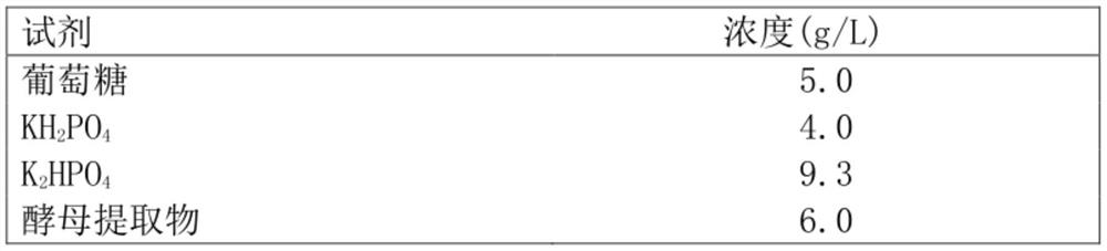 Method for producing recombinant protein