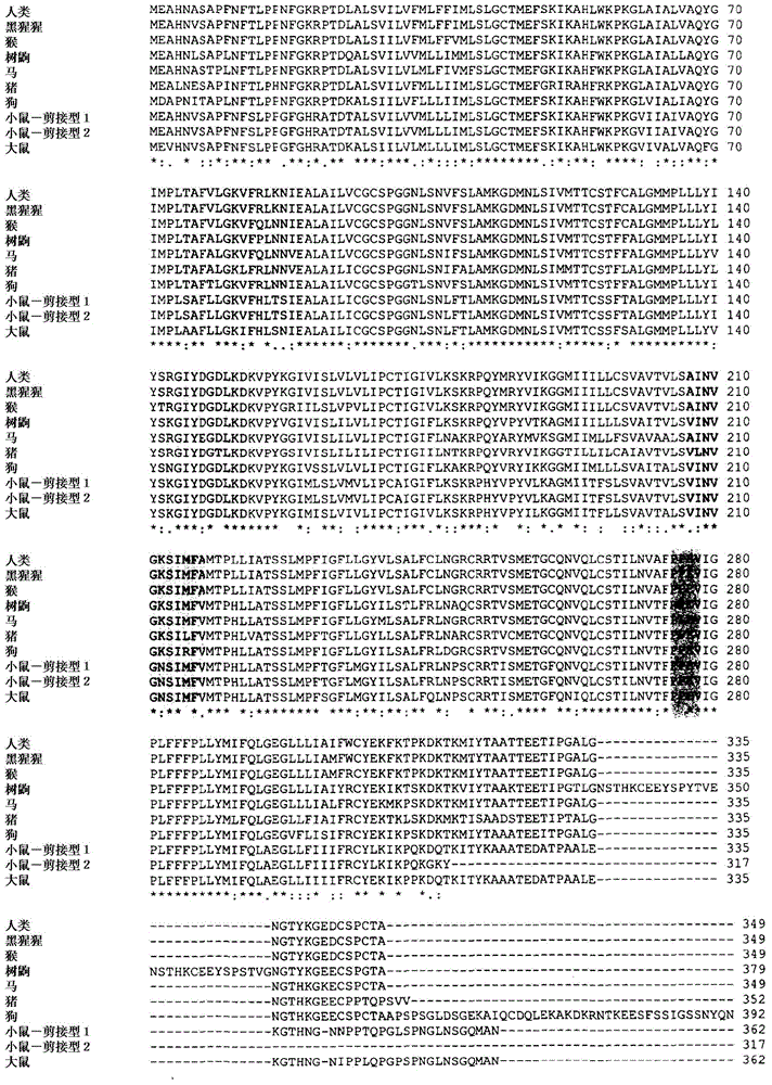 Compositions and uses of functional receptor for hbv/hdv virus