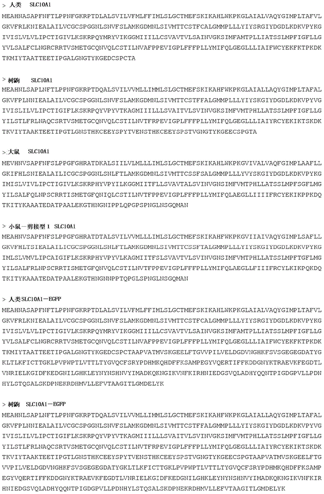 Compositions and uses of functional receptor for hbv/hdv virus