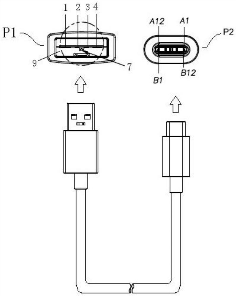 Data line with timing switch protection function