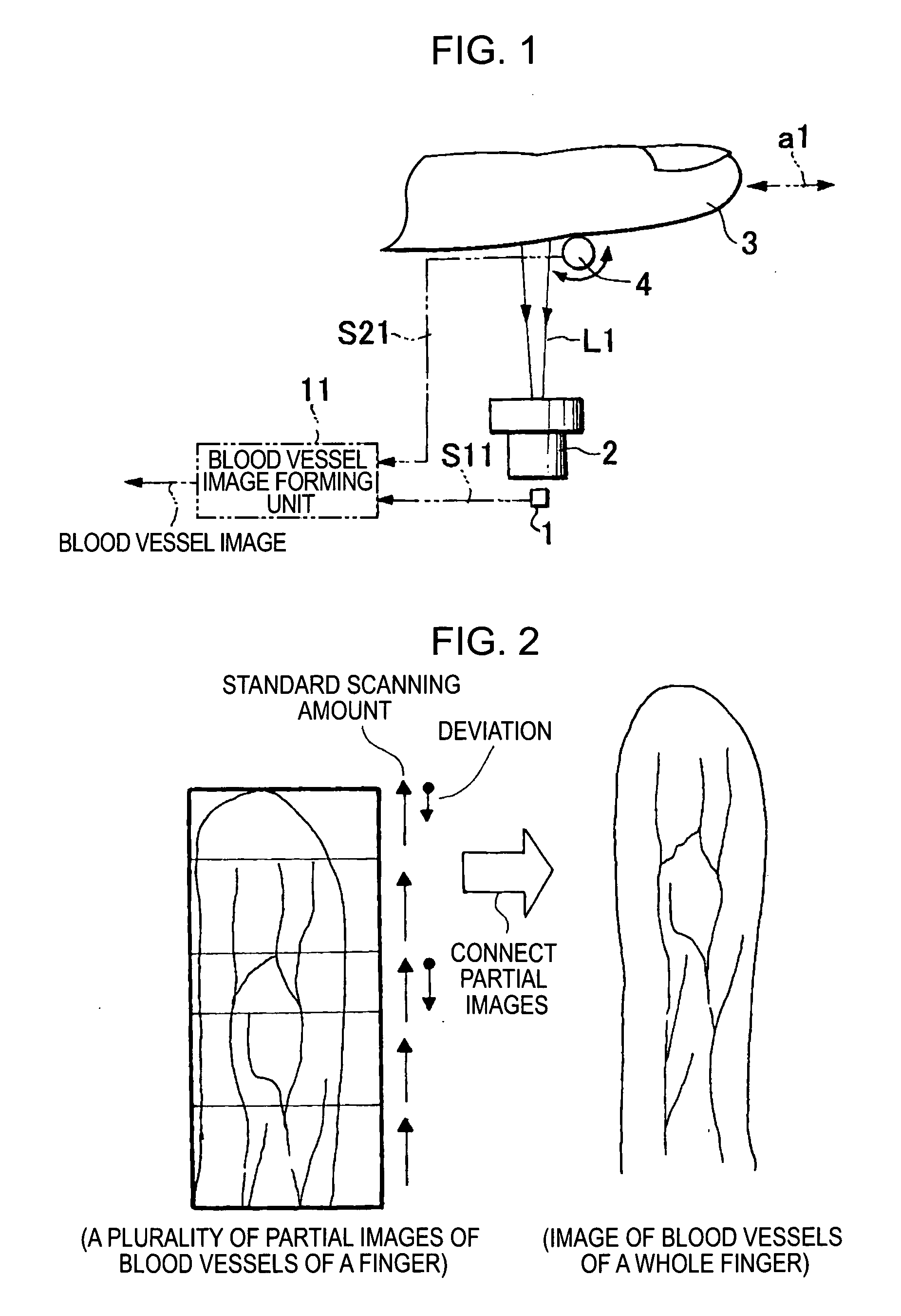 Image input apparatus and person authentication system using an image input apparatus