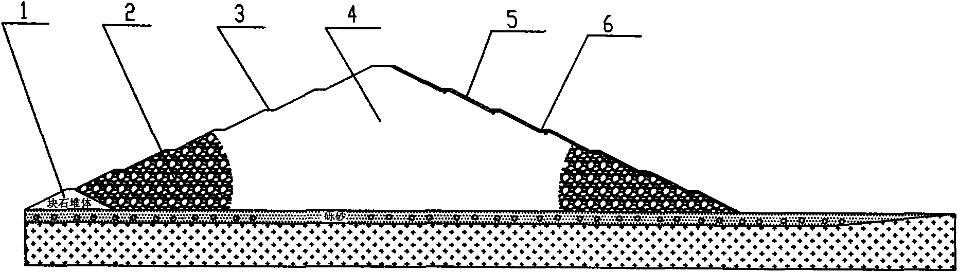 Method for building high roller compaction water-permeable tailing dam by rock dumping