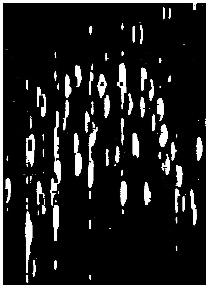 Self-adaptive constant false alarm detecting method used for detecting radar video signals