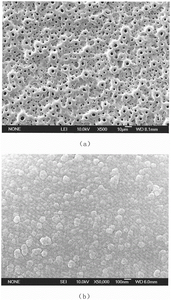 A silicon-doped porous nano-titanium oxide coating and its preparation method