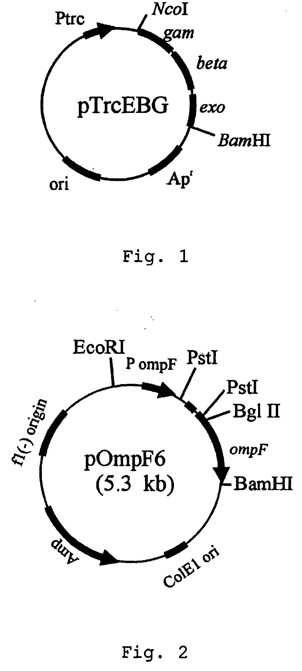 Method for extracellular production of target proteins employing OmpF in E.coli