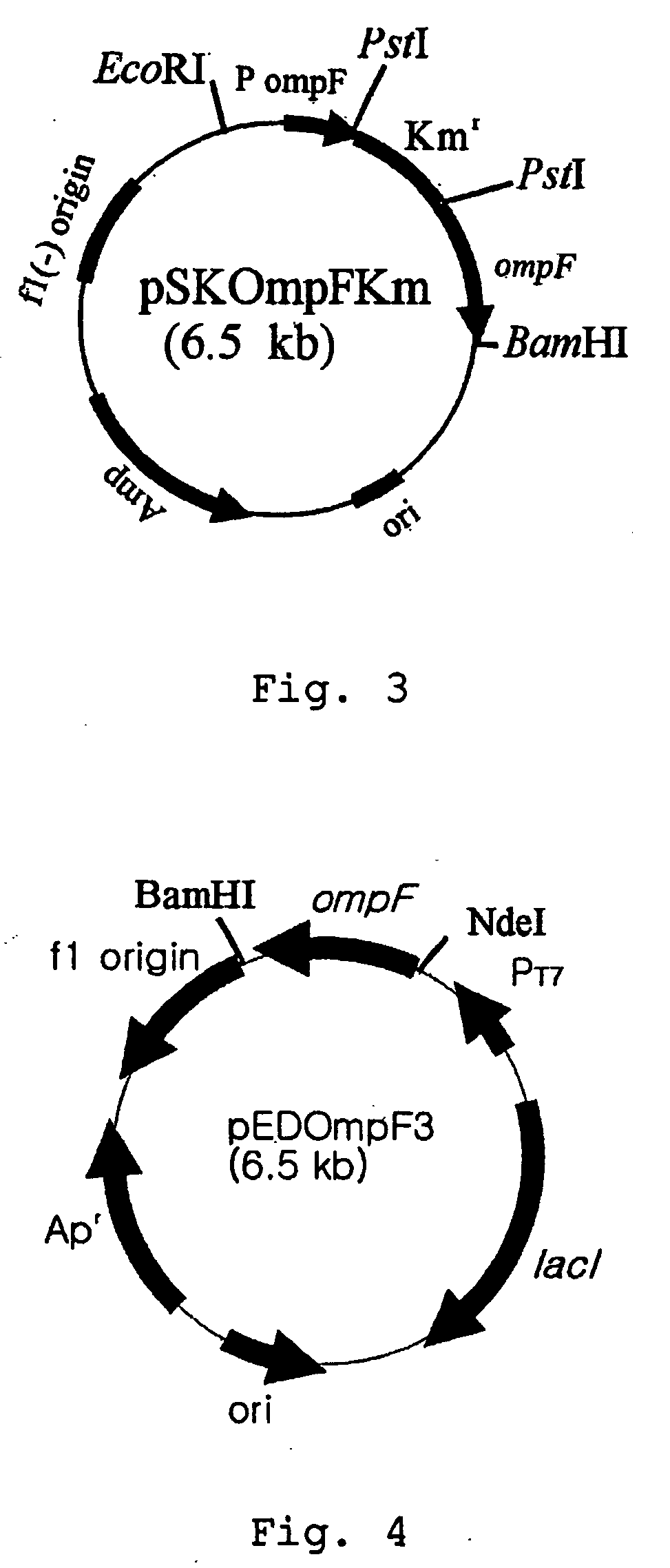 Method for extracellular production of target proteins employing OmpF in E.coli