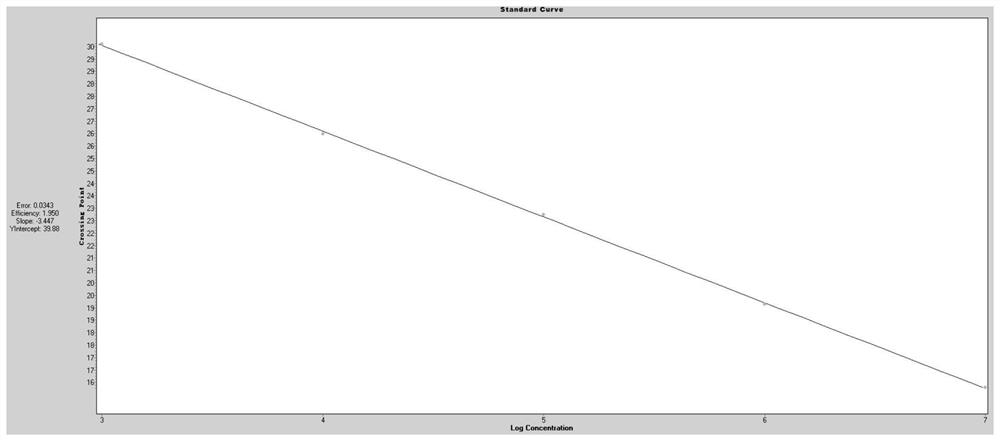 A method and application of Taqman probe fluorescent quantitative PCR to detect Bartonella