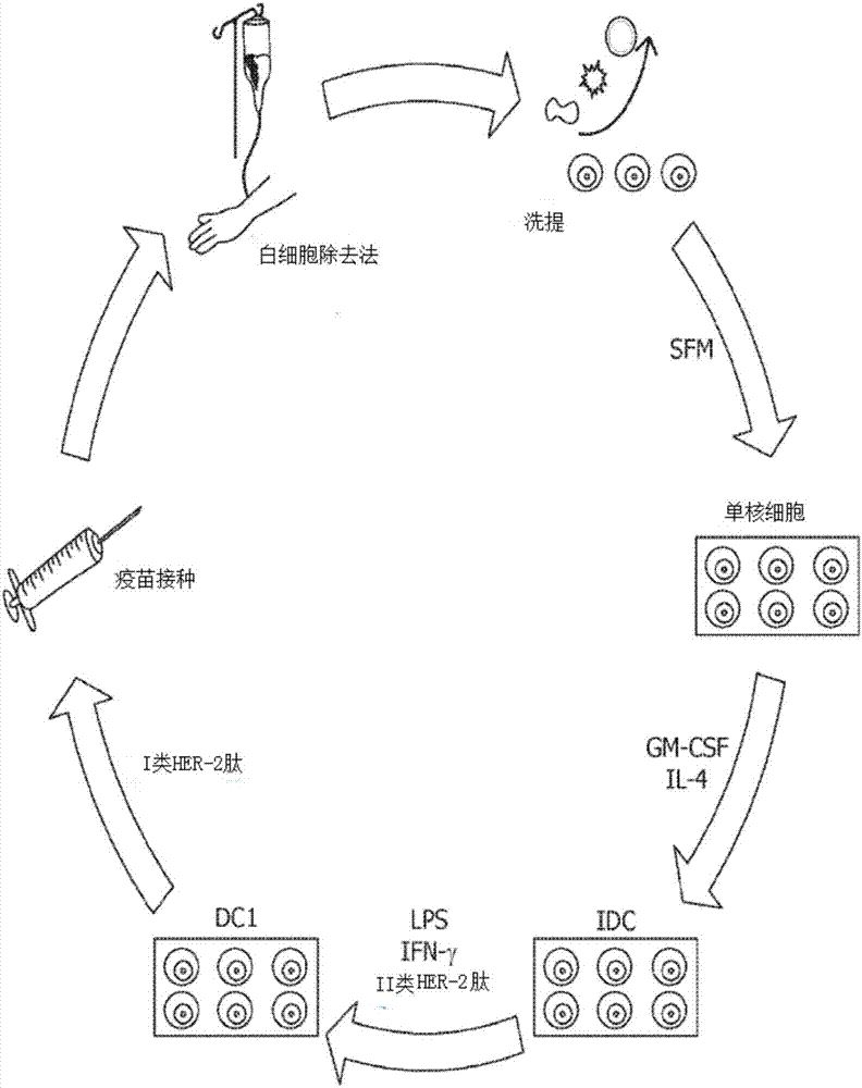Methods for monitoring CD4+ T-helper type 1 response in cancer and immune restoration