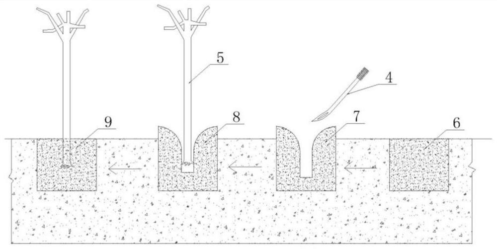 A method for improving sandy soil by using matrix mud stirring pile method to cultivate trees and shrubs