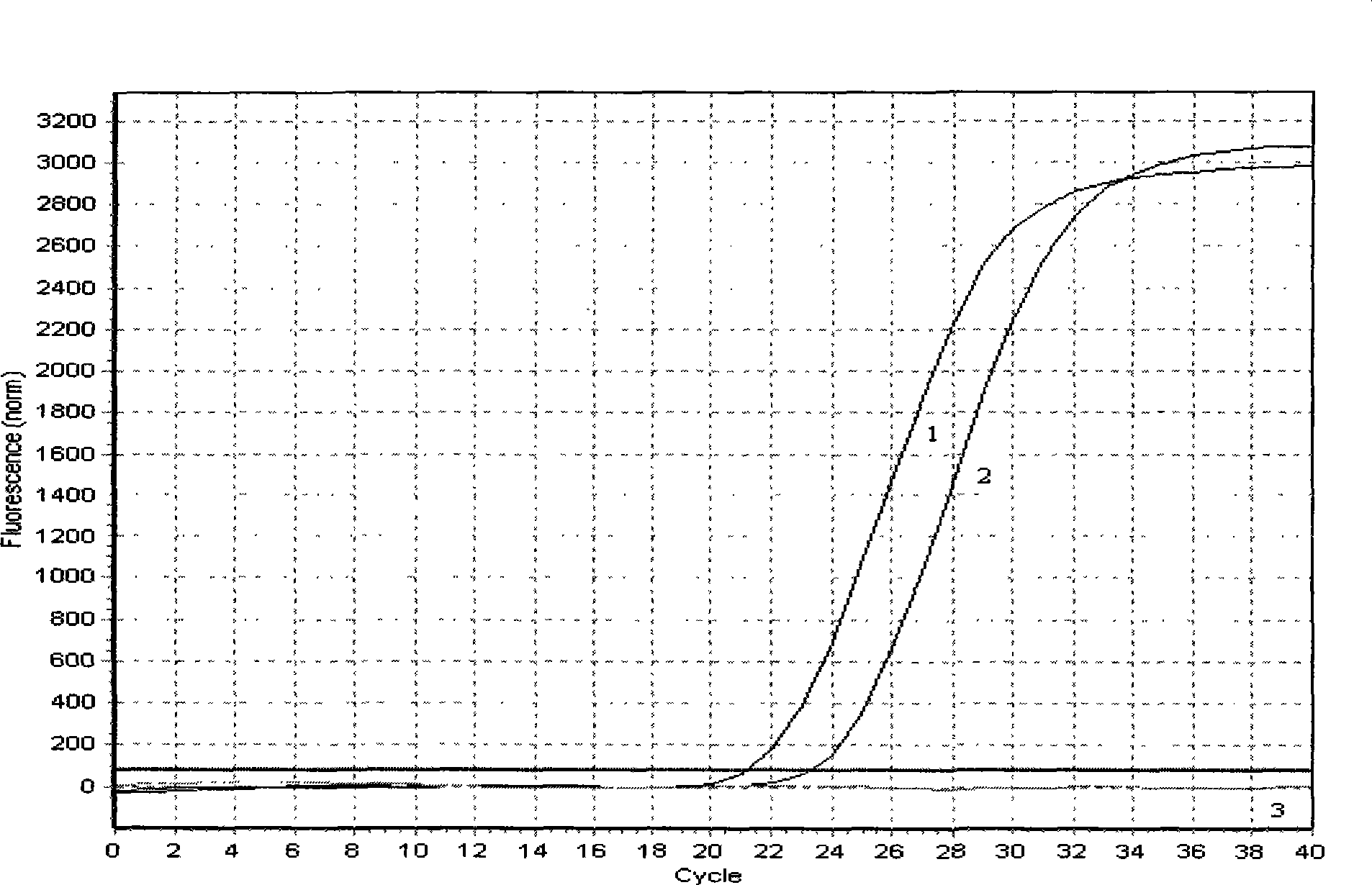 Bean pod mottle virus fluorescent quantitative RT-PCR kit and detection method thereof