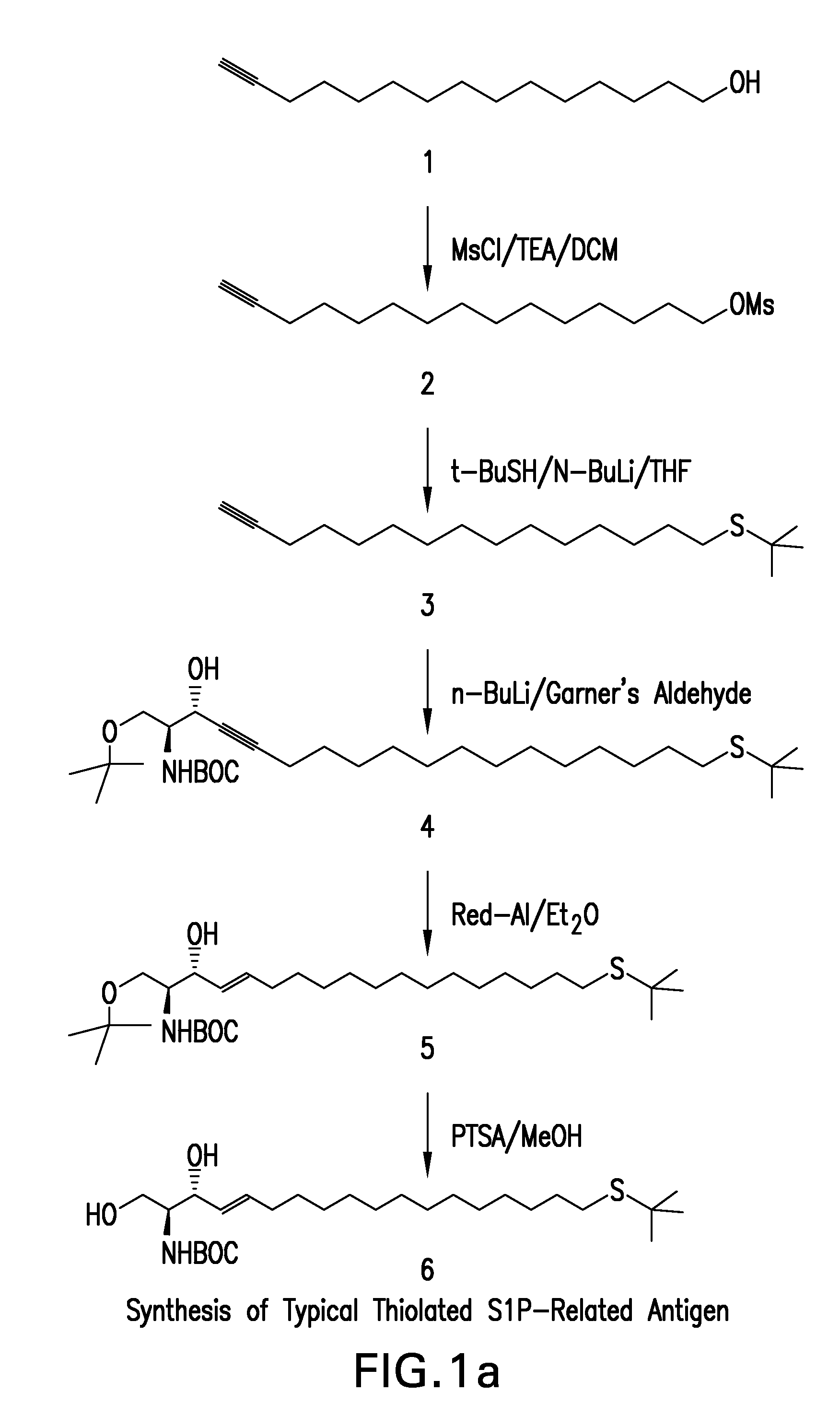 Immune-Derived Moieties Reactive Against Bioactive Lipids, and Methods of Making and Using Same