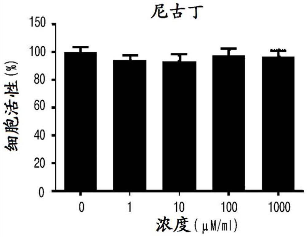 Composition for preventing or treating nicotine addiction, which contains liriope latifolia extract as active ingredient