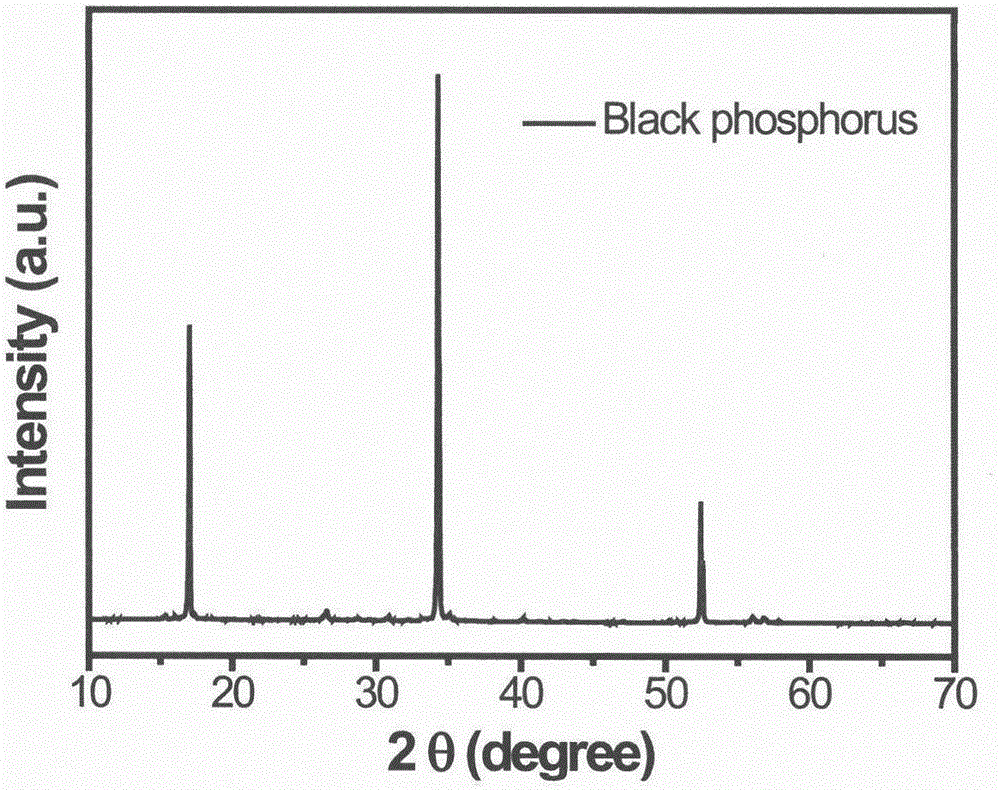 Method for preparing orthorhombic crystal system black phosphorus single crystal