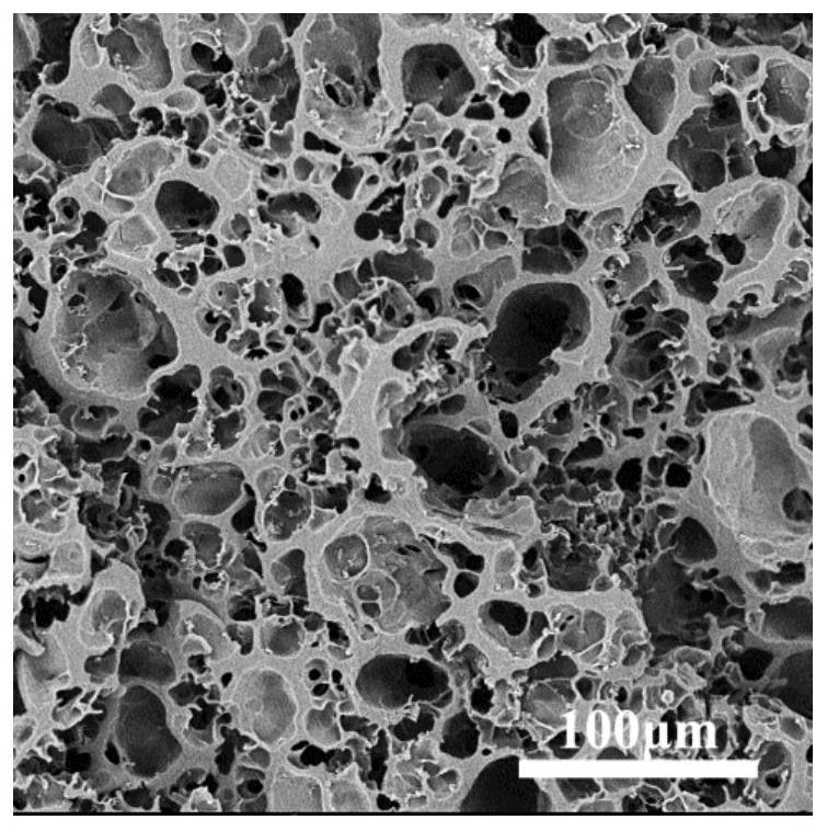 Preparation method of nicandra physaloides gum/polyvinyl alcohol composite hydrogel with porous structure