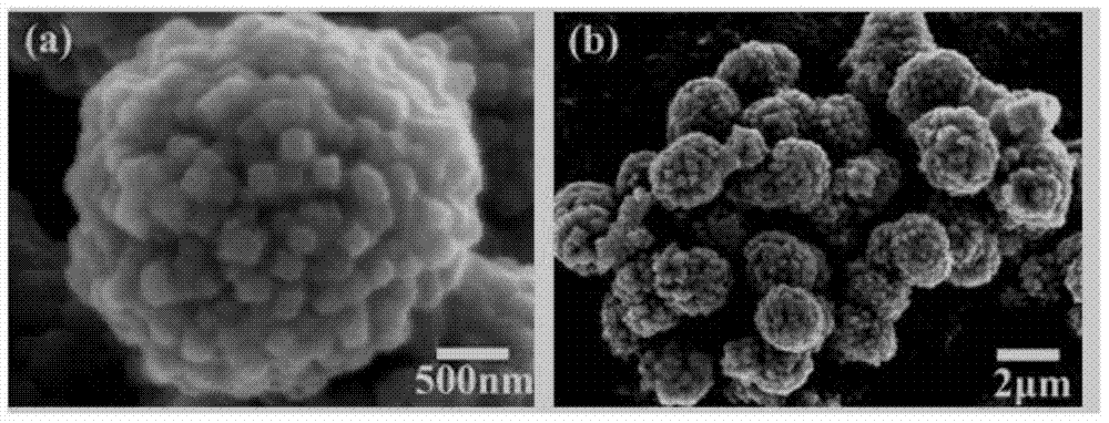 Micro/nano hierarchical titanium dioxide microspheres as well as preparation method and application thereof