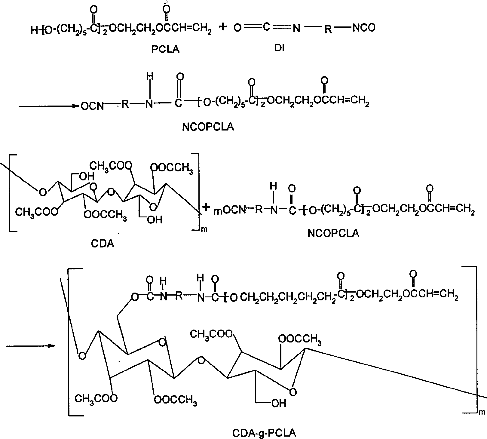 Cellulose derivative grafted copolymer and its synthesis method